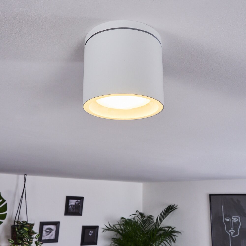 Macoupin Taklampa Vit, 1-ljuskällor main product photo