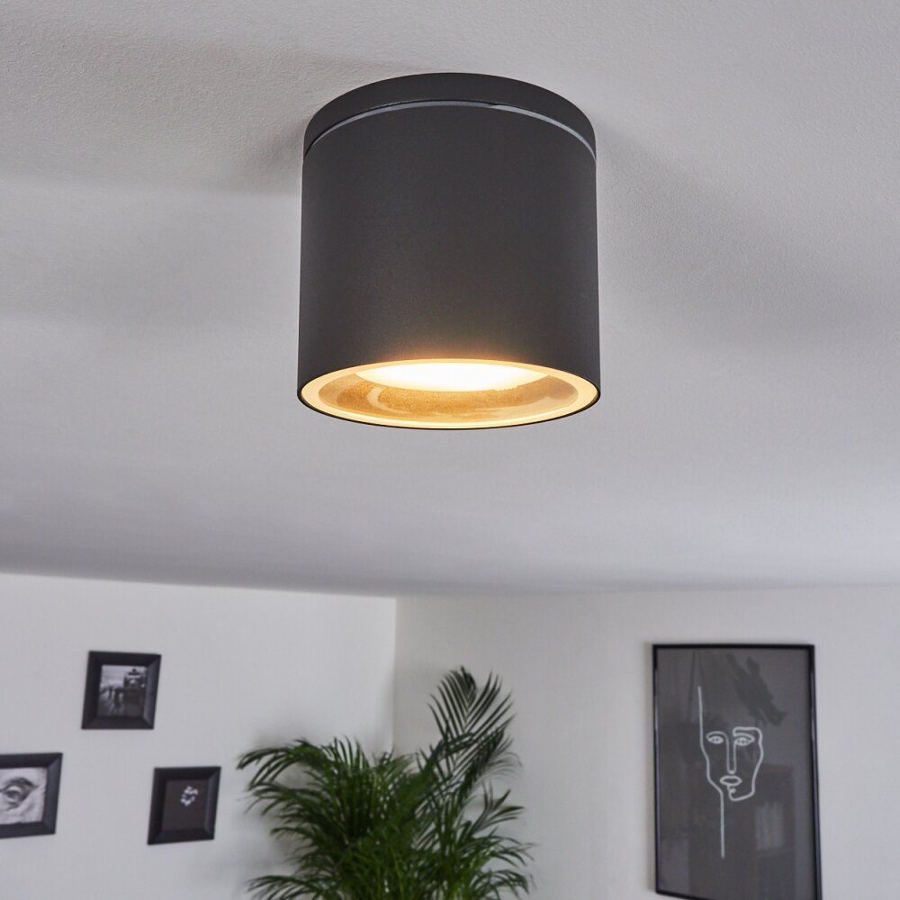 Macoupin Taklampa Svart, 1-ljuskällor main product photo