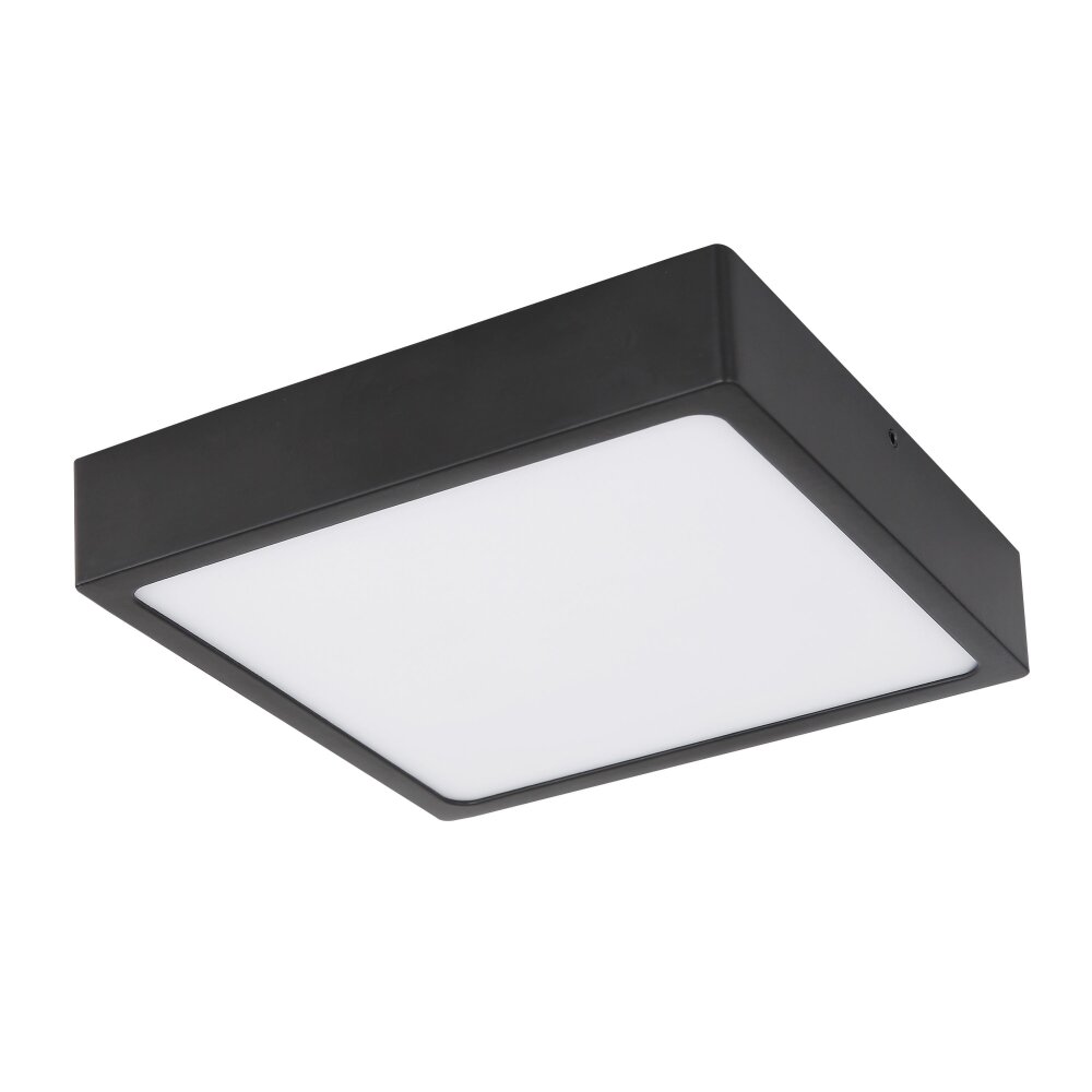 Globo ECHO Taklampa, Panel LED Svart, 1-ljuskällor main product photo