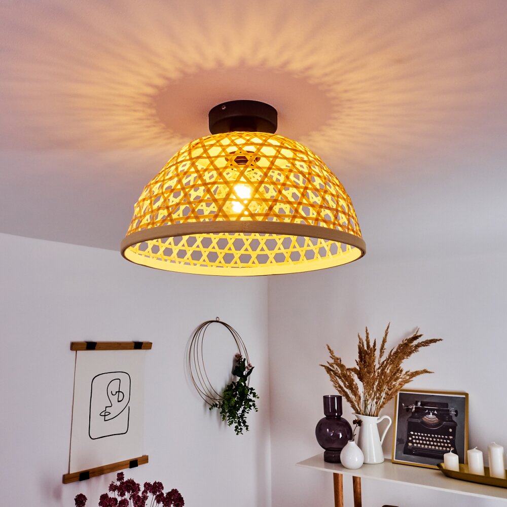 Flansum Taklampa Svart, 1-ljuskällor main product photo