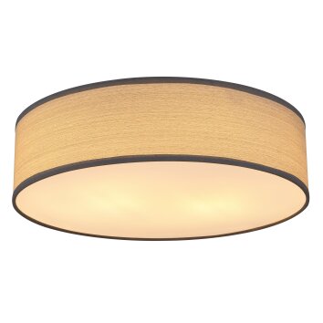 Globo VARIOS Taklampa, 2-ljuskällor