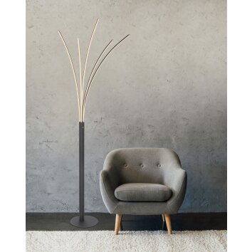 Globo BIZZY Golvlampa, Båglampor LED Svart, 1-ljuskällor