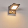 Matlava vägglampa utomhus LED Antracit, Vit, 1-ljuskällor, Rörelsedetektor