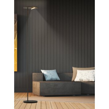 Bopp SHARE strålkastare, Golvlampa LED Brons, 1-ljuskällor