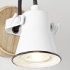 Brilliant Lampor Seed Vägglampa Trä mörkt, Vit, 1-ljuskällor