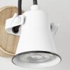 Brilliant Lampor Seed Vägglampa Trä mörkt, Vit, 1-ljuskällor