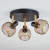Pipisu Taklampa, Takstrålkastare Guld, Mässing, Svart, 3-ljuskällor