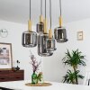 Maliali Pendelbelysning, Pendellampa Cluster Guld, Mässing, Svart, 5-ljuskällor