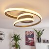 Ignal Taklampa LED Grått, 1-ljuskällor