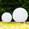 Abrela kullampa LED Färg i rostfritt stål, 2-ljuskällor