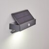 Wiborg Husnummer belysning, Vägglampa LED Antracit, 1-ljuskällor, Rörelsedetektor