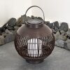 Aosta dekorativ belysning, lykta, Bordslampa LED Brun, 1-ljuskällor