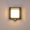 Lansing Vägglampa LED Antracit, 1-ljuskällor, Rörelsedetektor