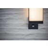 Lutec Lampor Cuba vägglampa utomhus LED Antracit, 1-ljuskällor, Rörelsedetektor
