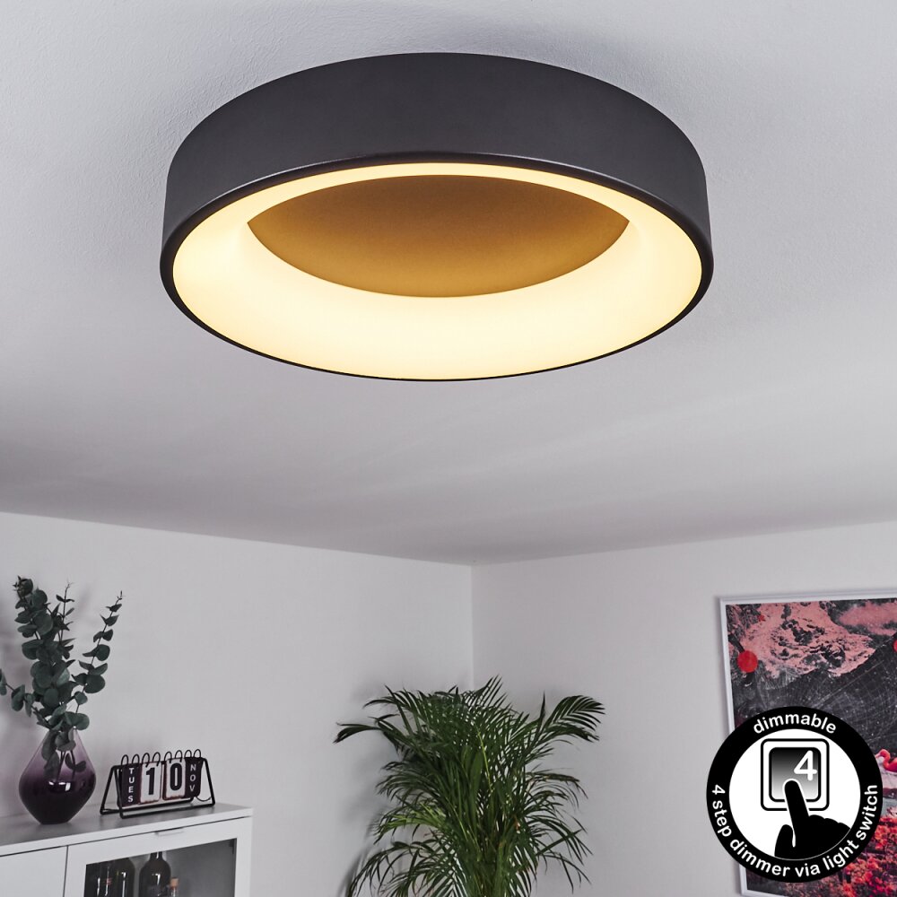 Pine Taklampa LED Svart, 1-ljuskällor main product photo