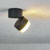 Papagayos Taklampa för utomhusbruk, Taklampa LED Antracit, Vit, 1-ljuskällor, Färgväxlare