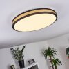 Kirtland Taklampa, Panel LED Guld, Svart, 1-ljuskällor