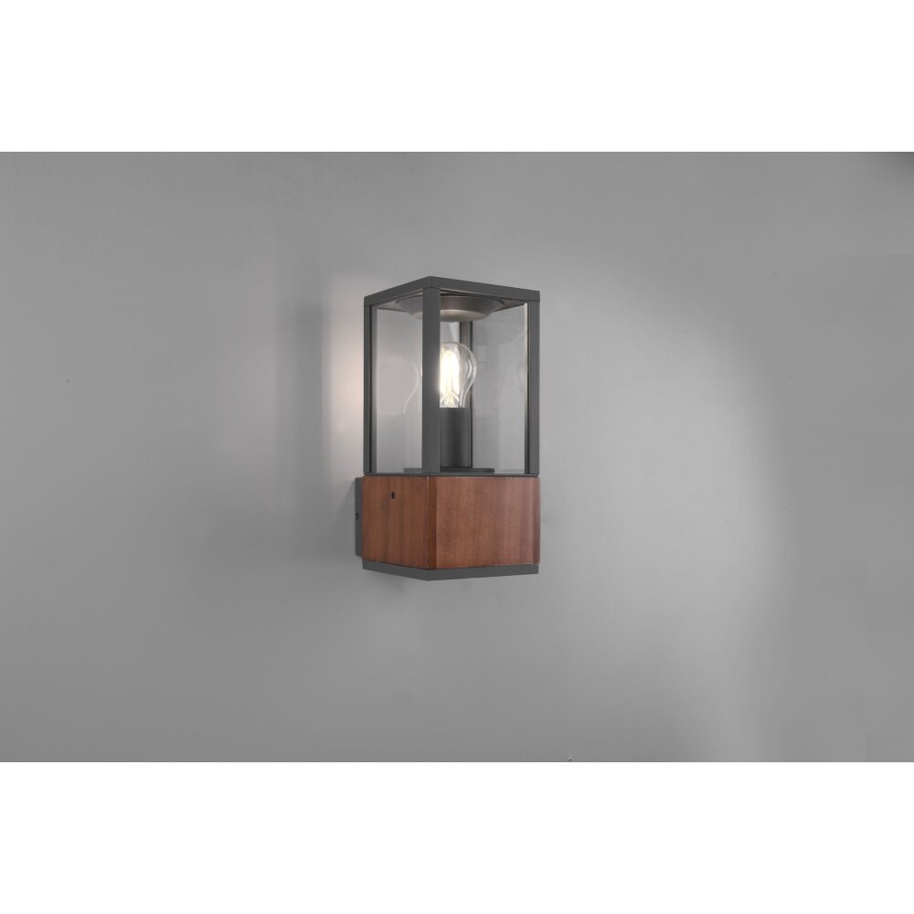 Trio Lampor Garonne vägglampa utomhus Trä mörkt, Nickel matt, 1-ljuskällor main product photo