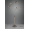 Reality Dito Golvlampa, Golvlampa Mörkbrun, Nickel matt, 5-ljuskällor