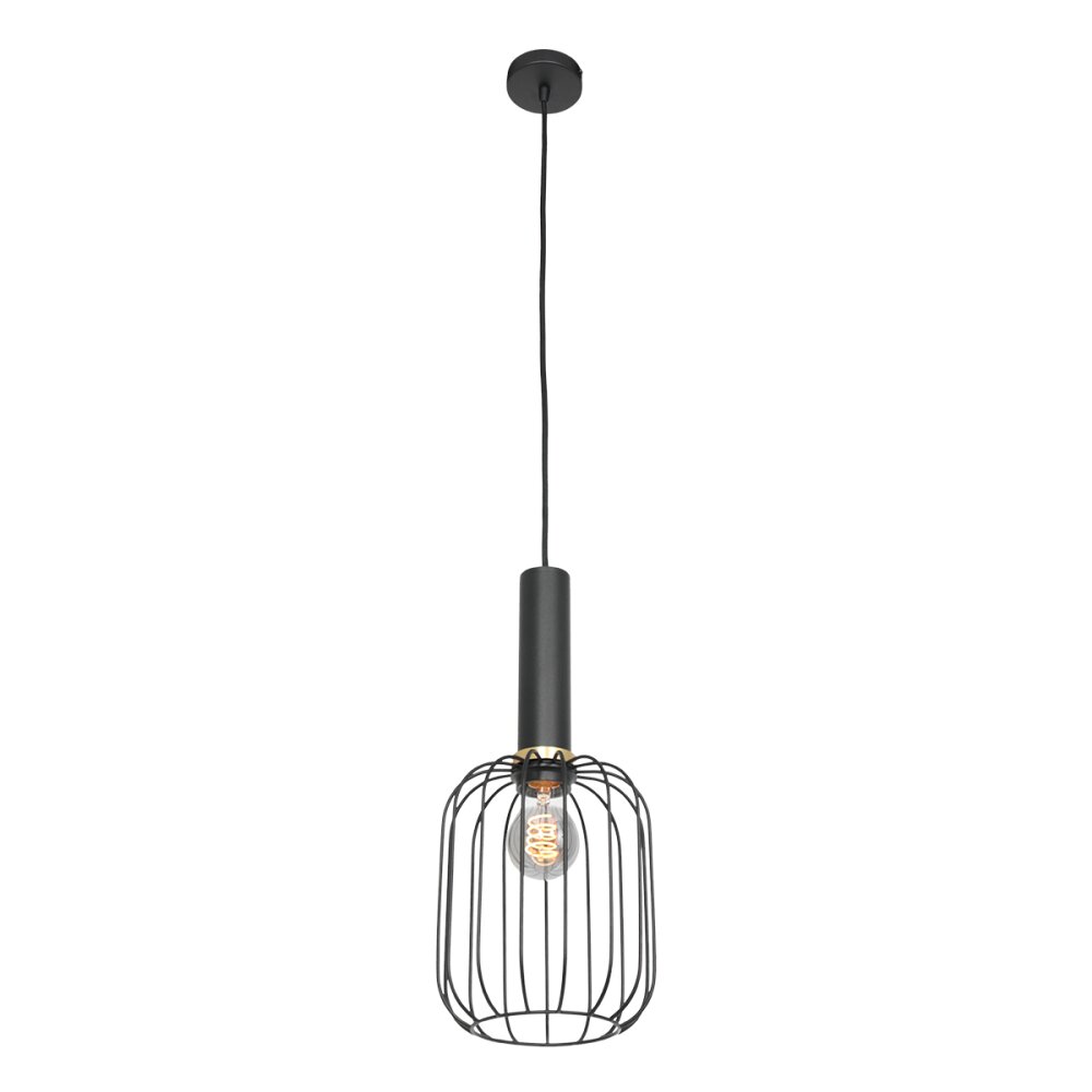 Steinhauer Aureole Pendelbelysning Svart, 1-ljuskällor main product photo