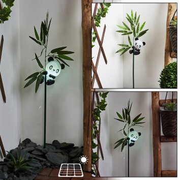 Beo dekorativ belysning, Solcellsfigur, Solcellslampa LED Grön, Svart, Vit, 1-ljuskällor