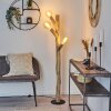 Pozos Golvlampa, Golvlampa Trä ljus, Svart, 3-ljuskällor