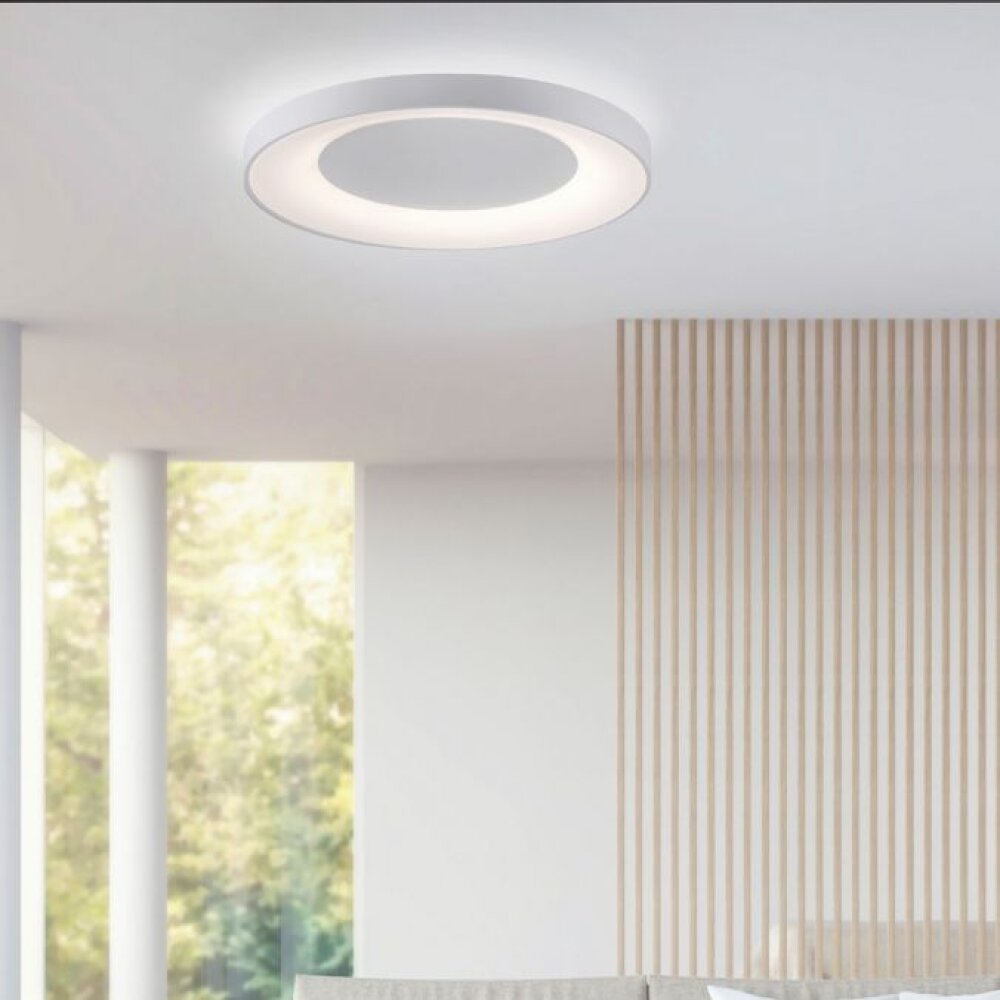 Leuchten Direkt ANIKA Taklampa LED Vit, 1-ljuskällor, Fjärrkontroll main product photo