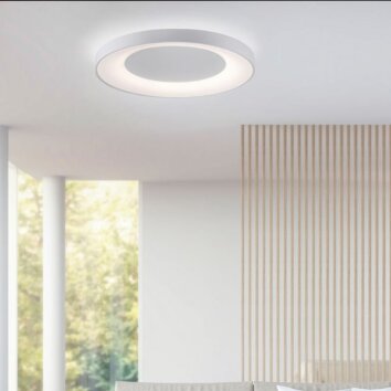Leuchten Direkt ANIKA Taklampa LED Vit, 1-ljuskällor, Fjärrkontroll