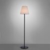 Leuchten Direkt HOLLY Golvlampa, Golvlampa LED Svart, 1-ljuskällor, Färgväxlare