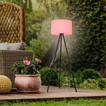 Leuchten Direkt HOLLY Golvlampa, Golvlampa LED Svart, 1-ljuskällor, Färgväxlare