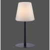 Leuchten Direkt KENO Bordslampa LED Svart, 1-ljuskällor