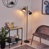 Pretoria Golvlampa, Golvlampa Antikmässing, Svart, 2-ljuskällor