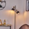 Pretoria Golvlampa Guld, Svart, 2-ljuskällor
