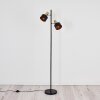 Pretoria Golvlampa Guld, Svart, 2-ljuskällor
