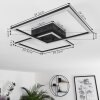 Thara Taklampa LED Svart, 1-ljuskällor, Fjärrkontroll