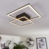 Thara Taklampa LED Svart, 1-ljuskällor, Fjärrkontroll
