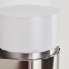 Tiarp vägglampa utomhus LED Nickel matt, 2-ljuskällor, Rörelsedetektor