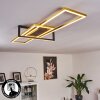 Omega Taklampa LED Svart, 1-ljuskällor