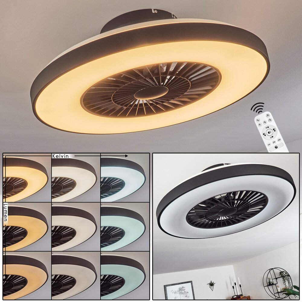 Qualiano Takfläkt med belysning LED Svart, Vit, 1-ljuskällor, Fjärrkontroll main product photo