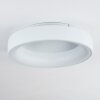 Pine Taklampa LED Vit, 1-ljuskällor