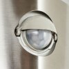 Visnum vägglampa utomhus Nickel matt, Vit, 1-ljuskällor, Rörelsedetektor
