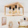 Torreglia Taklampa Brun, Svart, 4-ljuskällor