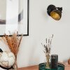 Osina Vägglampa Svart, 1-ljuskällor