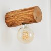 Canedo Vägglampa Brun, 1-ljuskällor
