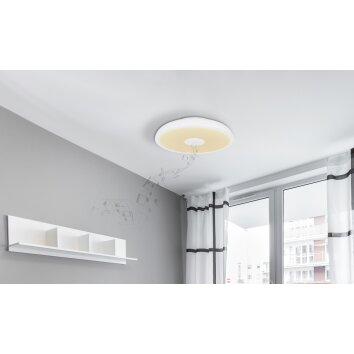 Globo RAFFY Taklampa LED, 1-ljuskällor, Fjärrkontroll, Färgväxlare