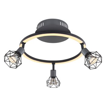 Globo JUTTA Taklampa LED Svart, 1-ljuskällor Globo JUTTA Taklampa LED Svart, 1-ljuskällor