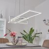 Omega Pendelbelysning LED Vit, 1-ljuskällor