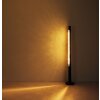 Globo FELICITAS Golvlampa, Golvlampa LED Nickel matt, Svart, 1-ljuskällor