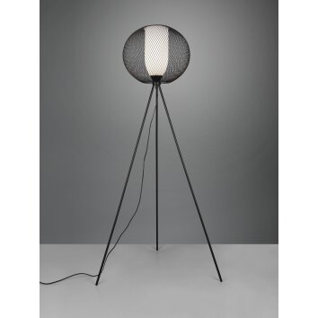 Trio Lampor Filo Golvlampa Svart, 1-ljuskällor