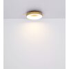 Globo JOLLI Taklampa LED träoptik, 1-ljuskällor, Fjärrkontroll